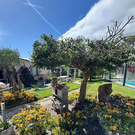 Con Piscina Cubierta *